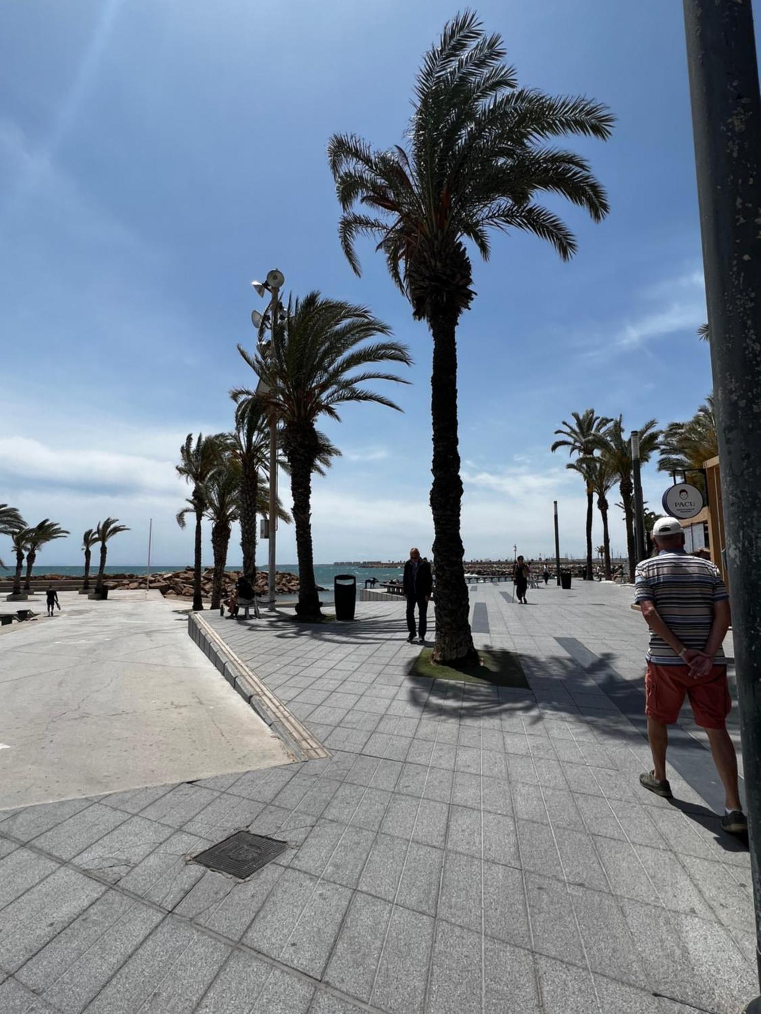 Sunset Playa Del Cura Apartment Torrevieja Ngoại thất bức ảnh